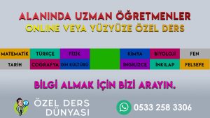 İzmir Ortaokul Özel Ders