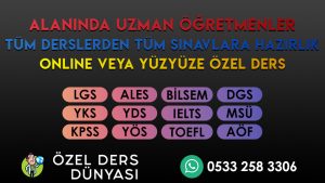 Lgs Türkçe Özel Ders Konya