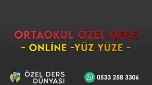 Sivas Ortaokul Özel Ders